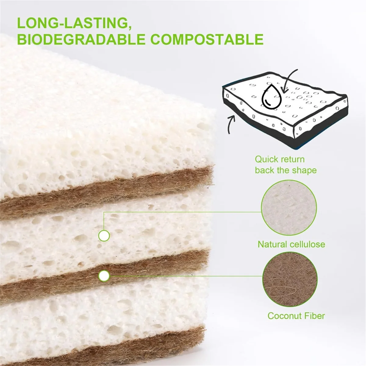 Eco-Friendly Natural Dish Sponges – Biodegradable Coconut Scrubbers 12-Pack