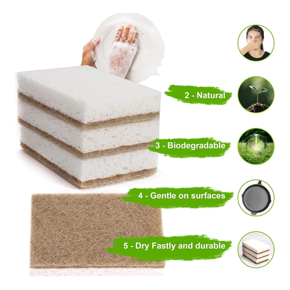 Eco-Friendly Natural Dish Sponges – Biodegradable Coconut Scrubbers 12-Pack
