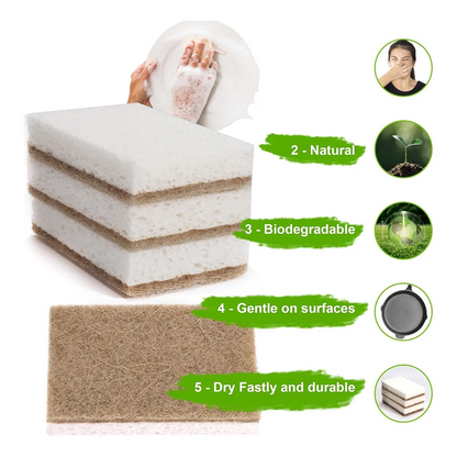 Eco-Friendly Natural Dish Sponges – Biodegradable Coconut Scrubbers 12-Pack