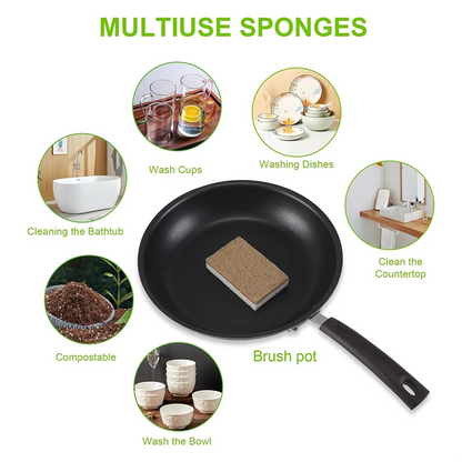 Eco-Friendly Natural Dish Sponges – Biodegradable Coconut Scrubbers 12-Pack