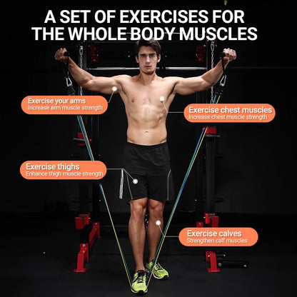 Resistance Bands Set 10-14PCS for Fitness & Muscle Training