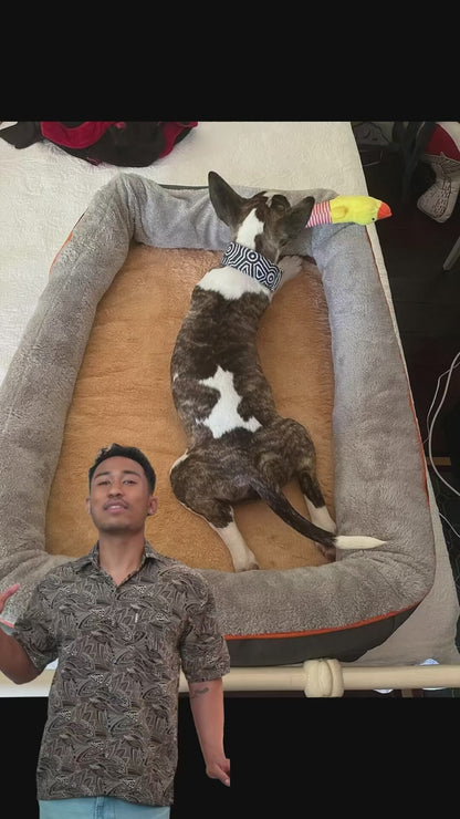 Orthopedic Memory Foam Dog Bed with Removable Cover